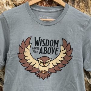 Close up of Livin' Light's "Wisdom Comes from Above" gray, short-sleeved T-shirt on stone wall. Owl with wings spread and piercing eyes says Wisdom Comes From Above which illustrates Bible verse Proverbs 2:6.