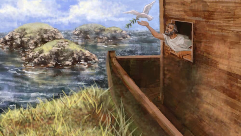 Noah's ark dove