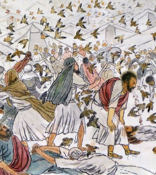 quail Israelites Many Israelites become sick and died after eating quail after complaining about the manna.